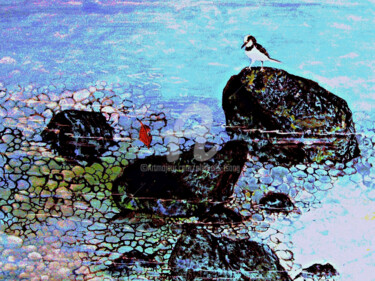 Painting titled "S-Birds on the Rock" by Clement Tsang, Original Artwork, Oil