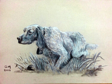 Dessin intitulée "Σέττερ, φέρμα" par Georgia Melanitou (G.M.), Œuvre d'art originale, Fusain