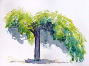 Arbre en forme de parasol du Bois de Coulonge Drawing titled "Arbre en forme de p…" by René Blanchet, Original Artwork, Ink