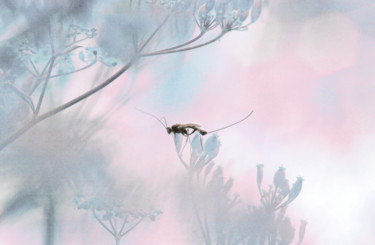 数字艺术 标题为“Petit Monde” 由Michel Guillaumeau, 原创艺术品, 数字油画
