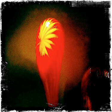 摄影 标题为“Chihuly show OKC” 由Jim Williams, 原创艺术品, 数码摄影