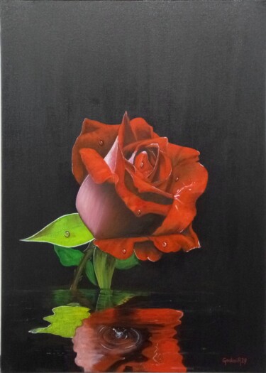 REFLET DE ROSE