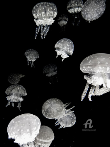Photography titled "Jellyfish #3" by Hélène Tourbine, Original Artwork, Digital Photography