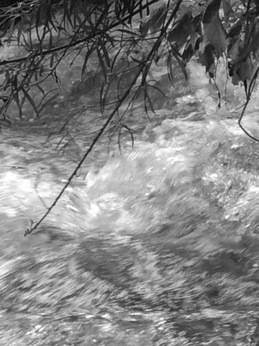 제목이 "La rivière"인 사진 Camille R.로, 원작, 조작되지 않은 사진