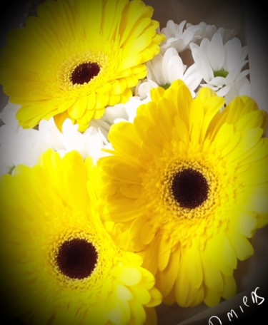 제목이 "Marguerites"인 사진 Nathalie Miens로, 원작, 디지털