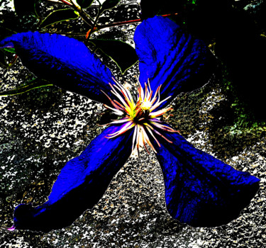 Photographie intitulée "Hélices" par Yog-Sothoth, Œuvre d'art originale, Photographie numérique