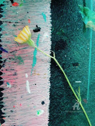 Photographie intitulée "Fragile" par Emmanuelle Donzé, Œuvre d'art originale, Photographie numérique