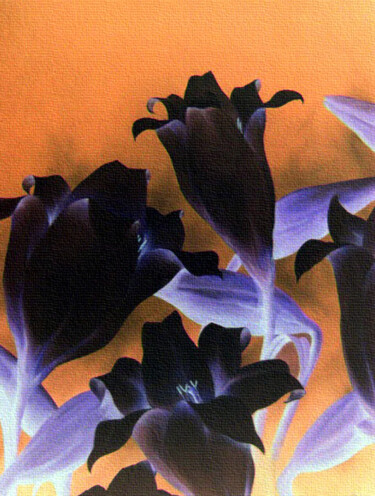 Digitale Kunst mit dem Titel "DIGITALARTE0004" von Antonio Guimaraes, Original-Kunstwerk, 2D digitale Arbeit