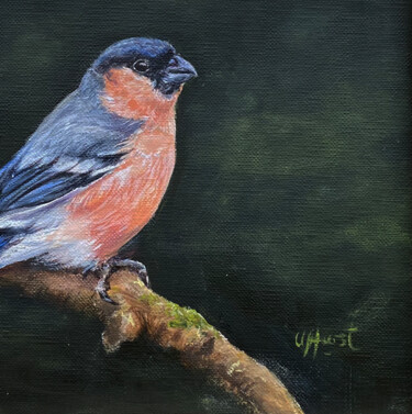 绘画 标题为“Bullfinch bird” 由Una Hurst, 原创艺术品, 油