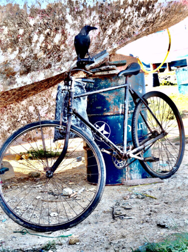 Photographie intitulée "Gardien de vélo" par Michel Paulin, Œuvre d'art originale, Photographie numérique