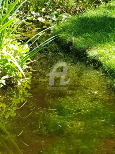Photographie intitulée "Vert d’eau" par Nelly Coudoux, Œuvre d'art originale, Photographie numérique