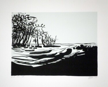 Printmaking titled "Lagune EA 6/8" by Hannes Hofstetter, Original Artwork, Screenprinting