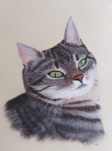 Peinture intitulée "Minouchette super s…" par Véronique Lenfant, Œuvre d'art originale, Pastel