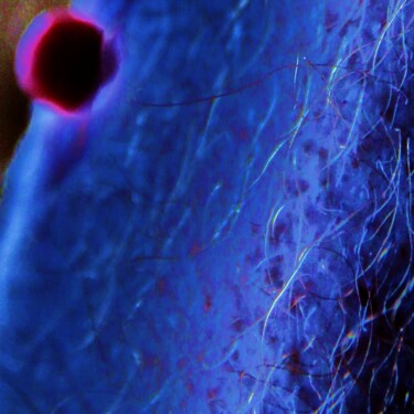 Photography titled "BLU NU 2 (Rodvin)" by Rodvin Davis (Art Model), Original Artwork, Digital Photography