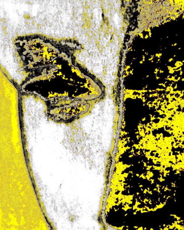 摄影 标题为“Artemis cx4” 由Ken Lerner, 原创艺术品, 数码摄影