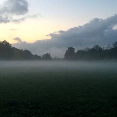 Fotografia zatytułowany „nebbia” autorstwa Mauro Stagi, Oryginalna praca, Fotografia filmowa