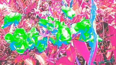 Photographie intitulée "Le bouquet dénaturé" par Nathalie Miens, Œuvre d'art originale, Photographie manipulée