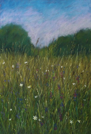 绘画 标题为“Meadow” 由Nino Gudadze, 原创艺术品, 粉彩