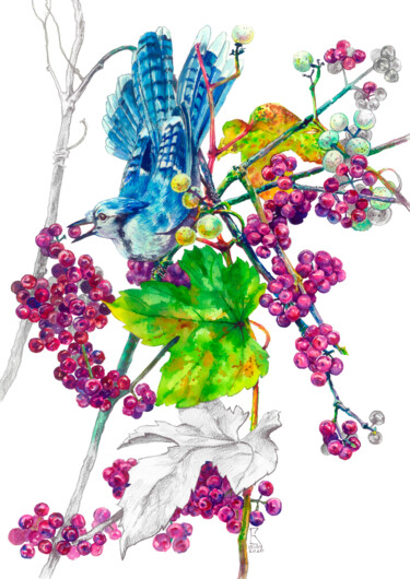 Картина под названием "Jay and Callicarpa…" - Ekaterina Kosyak, Подлинное произведение искусства, Акварель