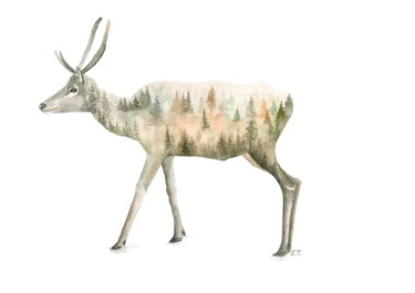 「"Young deer."」というタイトルの絵画 Elena Tereshchenkoによって, オリジナルのアートワーク, 水彩画