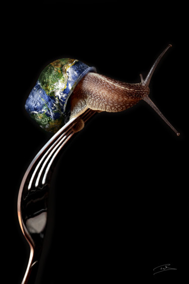 TERRE FRAGILE - FESTIN Photographie intitulée "TERRE FRAGILE - FES…" par Patrick Forget, Œuvre d'art originale, Photographie manipulée