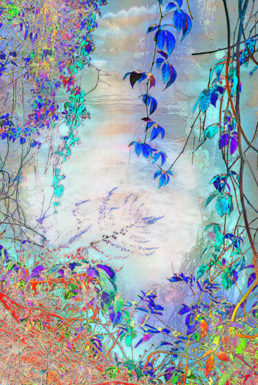 数字艺术 标题为“Le miroir des songe…” 由Michel Guillaumeau, 原创艺术品, 数字油画
