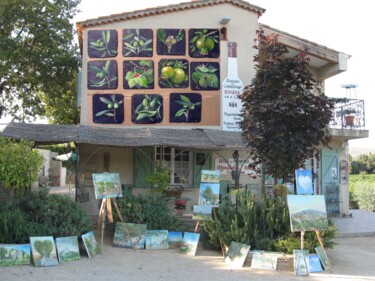 ARDOISES DOMAINE DU CAGUELOUP