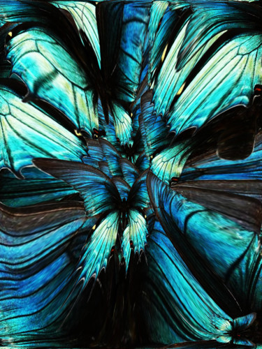 Digital Arts titled "Passage" by Roxana Ferllini, Original Artwork, Manipulated Photography