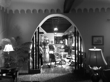 Fotografía titulada "Marfa Paisano" por Jim Williams, Obra de arte original, Fotografía digital
