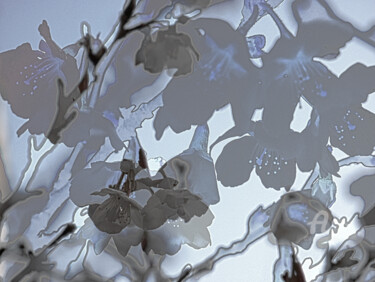 Photography titled "Prefab sprout #7" by Hélène Tourbine, Original Artwork, Manipulated Photography
