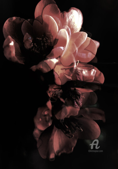 Photography titled "Prefab sprout #9" by Hélène Tourbine, Original Artwork, Manipulated Photography
