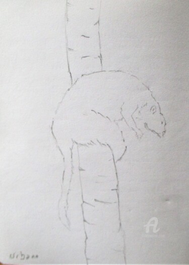 Drawing titled "Maki" by Roberto Urbano, Original Artwork, Pencil