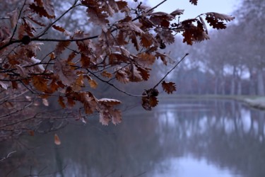 Photography titled "Feuillages d'hiver" by Herve L (Achel), Original Artwork, Digital Photography