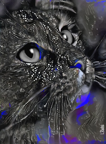 Sally Black-Blue, cat