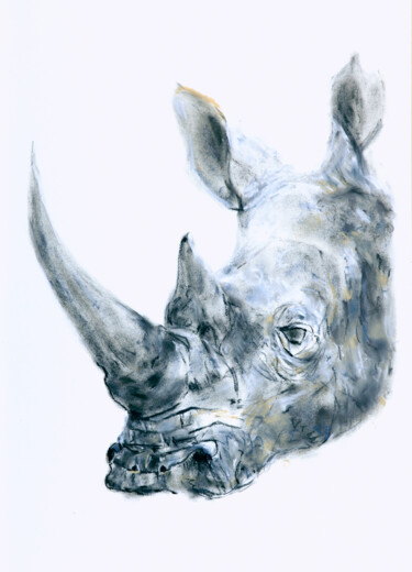 图画 标题为“rhino” 由Babett Landsberger, 原创艺术品, 粉彩