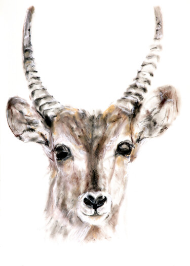 图画 标题为“waterbuck” 由Babett Landsberger, 原创艺术品, 粉彩