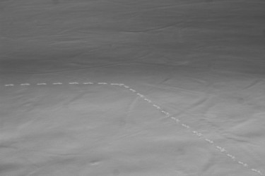 Photography titled "Scars on the snow" by Corentin Thauvin, Original Artwork, Digital Photography