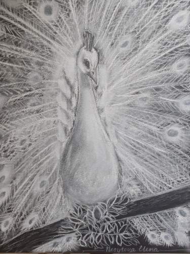 「Paon blanc」というタイトルの描画 Elena Nesytovaによって, オリジナルのアートワーク, チョーク