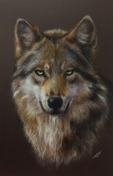 Balto Рисунок под названием "Balto" - Evgeniy Karpenko, Подлинное произведение искусства, Карандаш