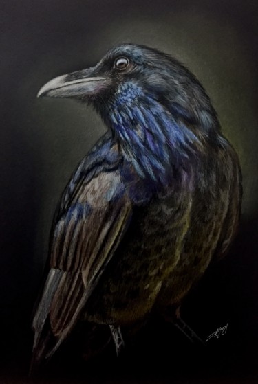 图画 标题为“Raven of the Tower” 由Evgeniy Karpenko, 原创艺术品, 铅笔