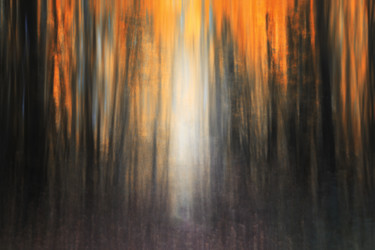 제목이 "Mood Color - Autumn…"인 사진 Alexander Tarasenkov로, 원작, 조작되지 않은 사진