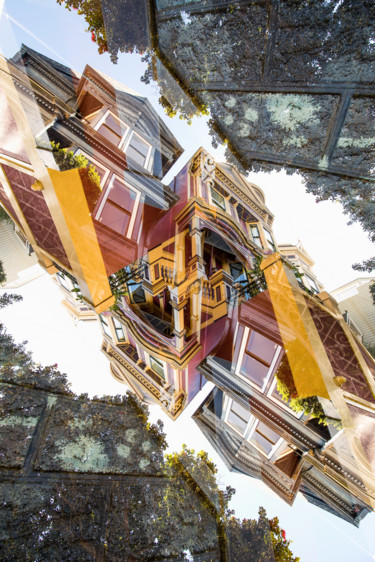 Photography titled "Painted Ladies San…" by Robin Vandenabeele, Original Artwork, Digital Photography Mounted on Aluminium