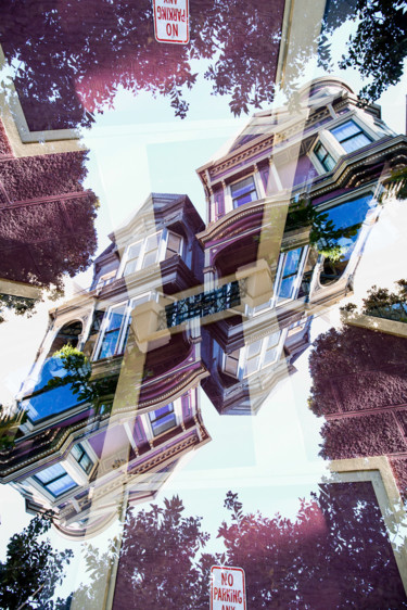 Photography titled "Painted Ladies San…" by Robin Vandenabeele, Original Artwork, Manipulated Photography Mounted on Alumini…