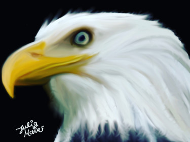 数字艺术 标题为“Adler” 由Julia Maier, 原创艺术品, 数字油画