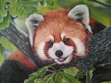 绘画 标题为“Small red panda” 由Elena Kozyutenko, 原创艺术品, 油