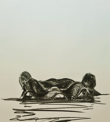 Dessin intitulée "Hippopotame 22/09/21" par Karl Robial, Œuvre d'art originale, Fusain