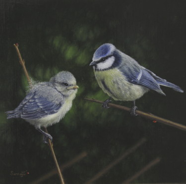Les mésanges bleues Peinture intitulée "Les mésanges bleues" par Reza Sarrafi, Œuvre d'art originale, Huile