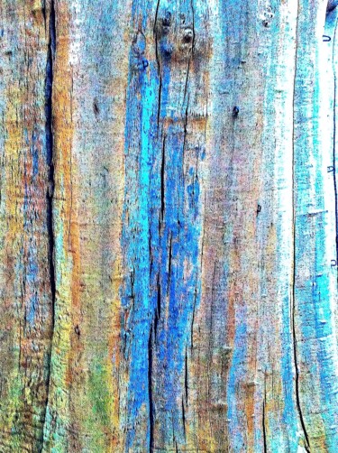 Photography titled "Wood 414b2" by Ken Lerner, Original Artwork, Digital Photography