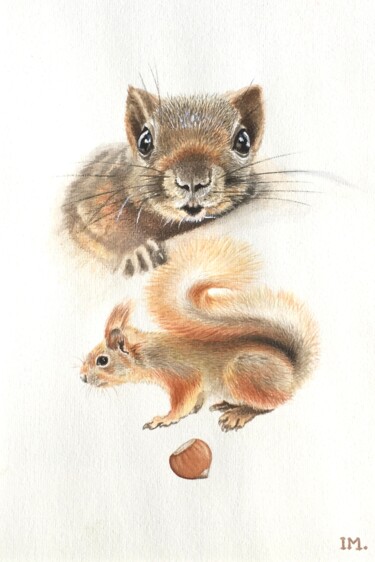 Peinture intitulée "Ecureuils 2" par Isabelle Molinard, Œuvre d'art originale, Aquarelle