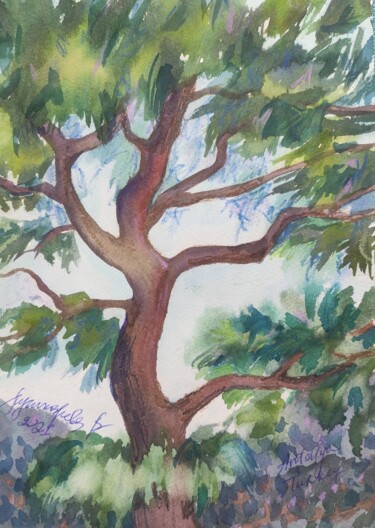 제목이 "The Tree, Sarisu, T…"인 미술작품 Valentina Pushkareva로, 원작, 수채화